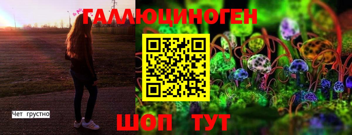 Псилоцибиновые грибы Psilocybine cubensis Томск
