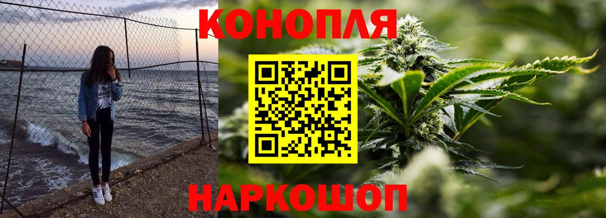 Каннабис сатива Томск